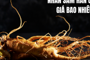 Nhân sâm Hàn Quốc giá bao nhiêu?