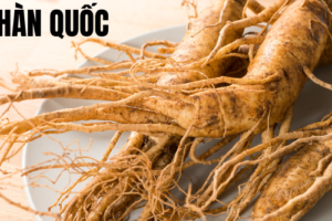 Cách dùng nhân sâm Hàn Quốc